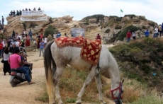 الدالية ترقص بروّادها... سوف نبقى هنا